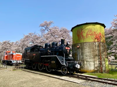Wakasa - Photo 3