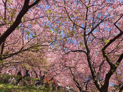 Matsuda - Photo 5