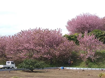 Nakai - Photo 4