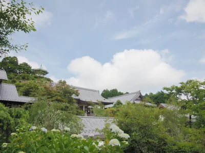 Otaki - Photo 2