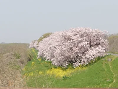 Kaizu - Photo 2