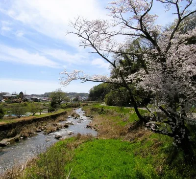 Seto - Photo 5
