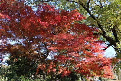 Owariasahi - Photo 2