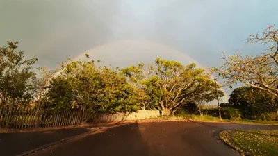 Pinetown - Photo 4