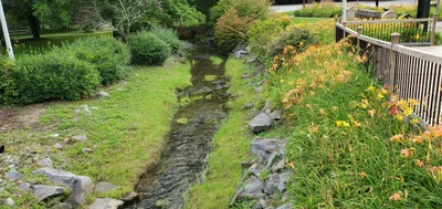 Andrews - Photo 3