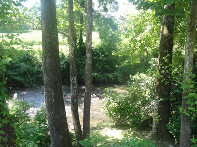 Andrews - Photo 4