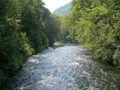 Andrews - Photo 5