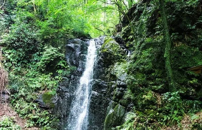 Yugawara - Photo 4