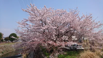Nagaizumi - Photo 3
