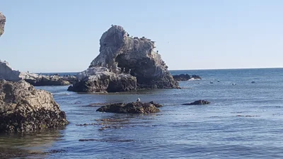 Shell Beach - Photo 3
