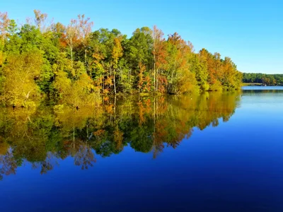 York County - Photo 2