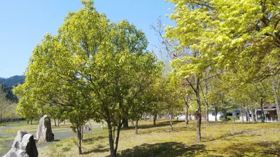 Kagamino - Photo 3