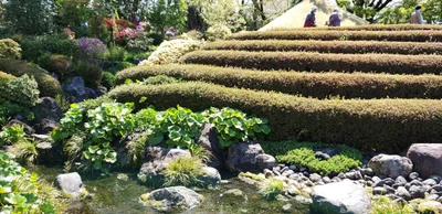Shimizu - Photo 2