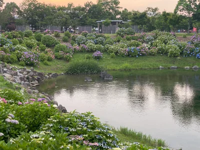 Komono - Photo 4