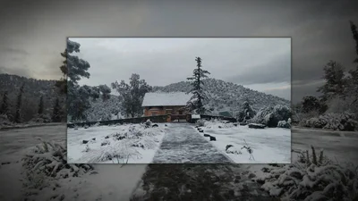 Nikitari - Photo 3