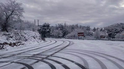 Nikitari - Photo 4