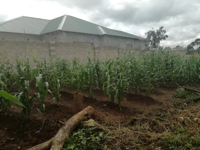 Chilanga - Photo 5