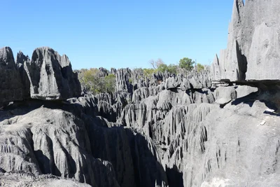 Morondava - Photo 2