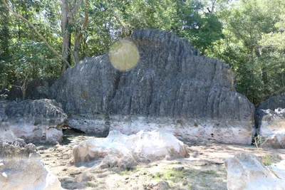 Morondava - Photo 3