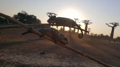 Morondava - Photo 5