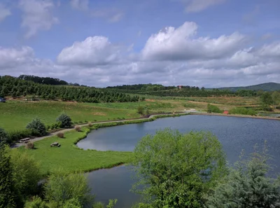 Fannin County - Photo 3