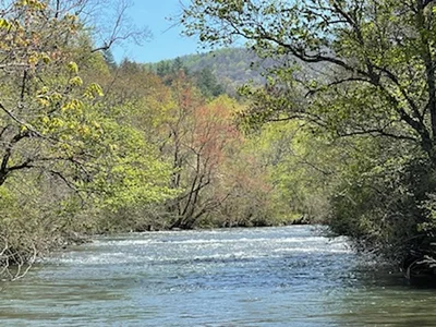 Fannin County - Photo 5