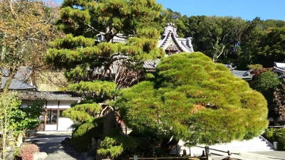 Izu - Photo 3