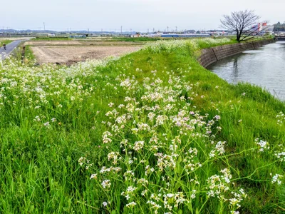 Chita - Photo 5