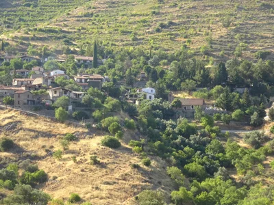 Lazanias - Photo 2