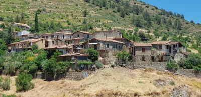Lazanias - Photo 4