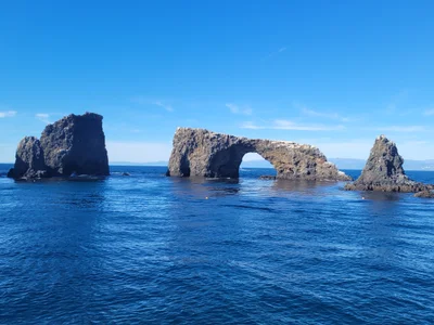 Channel Islands National Park - Photo 4