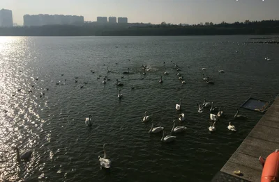 Yuncheng - Photo 2