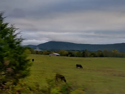 Walker County - Photo 2