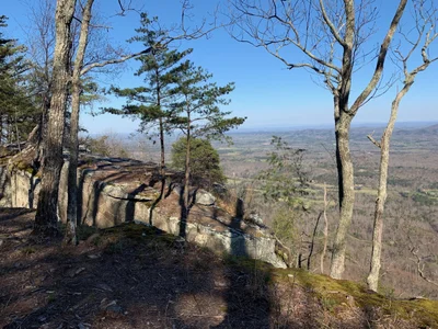 Walker County - Photo 5