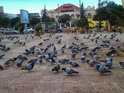 Batna - Photo 2