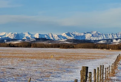 Foothills County - Photo 3