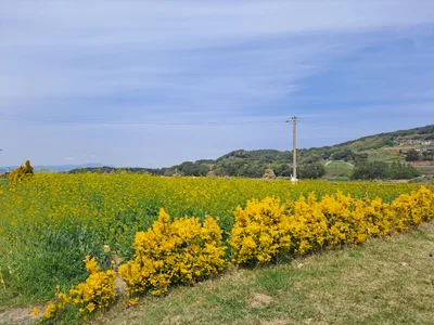 Namhae-eup - Photo 3