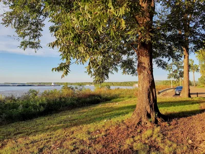 Tunica County - Photo 2
