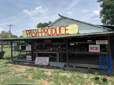 Tunica County - Photo 3