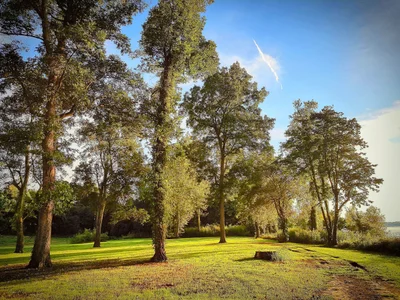 Tunica County - Photo 4
