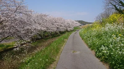 Nishio - Photo 5