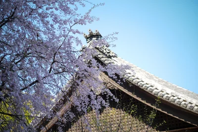 Toyokawa - Photo 2