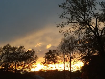 Towns County - Photo 4