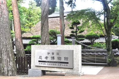 Iga - Photo 2