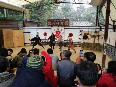 Iga - Photo 3