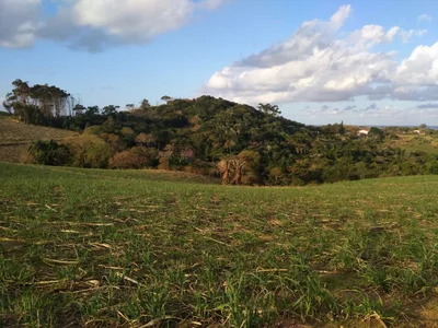 uMdoni Local Municipality - Photo 2