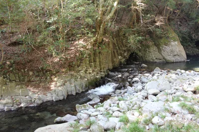 Kawazu - Photo 3