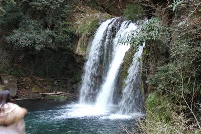 Kawazu - Photo 4