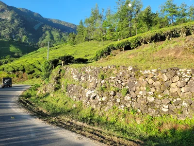Munnar - Photo 2