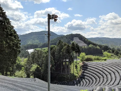 Wazuka - Photo 4